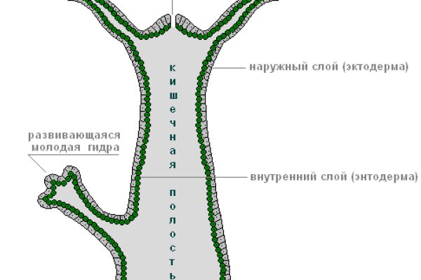 Clear ссылка на кракен