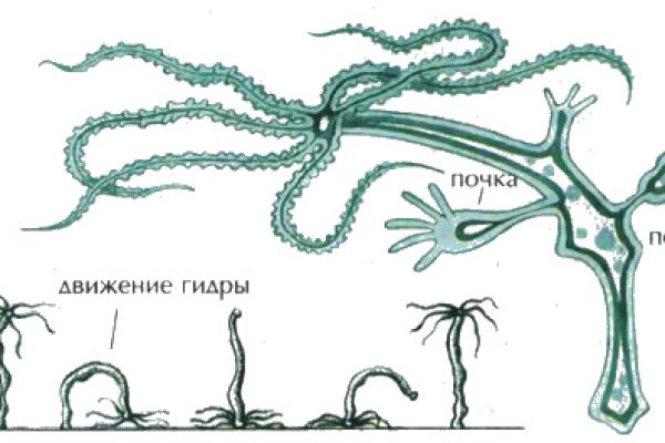 Кракен зеркало орион