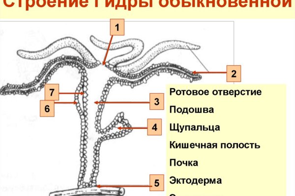 Кракен ссылка 25