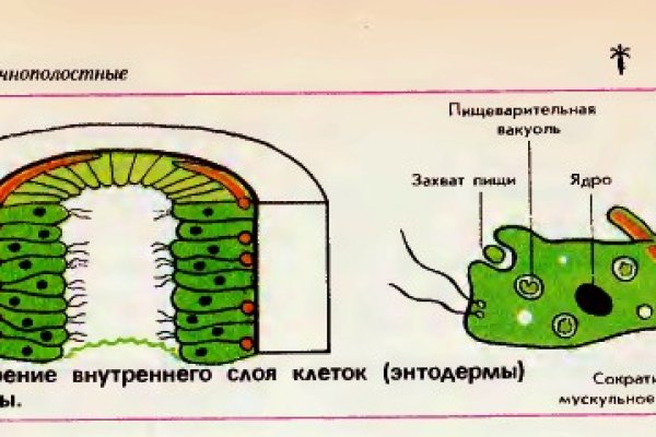 Кракен регистрация