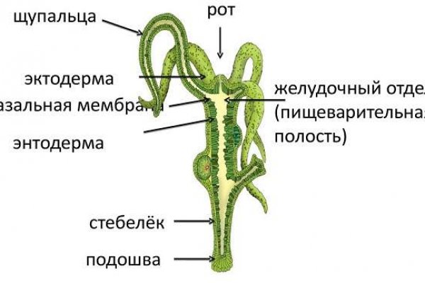 Кракен даркнет лол