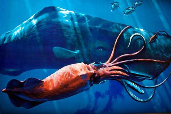Kraken зеркала gigageek ru